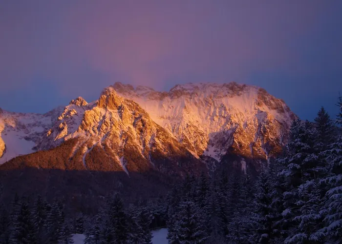 Bäckeralm© - B&B 16 +